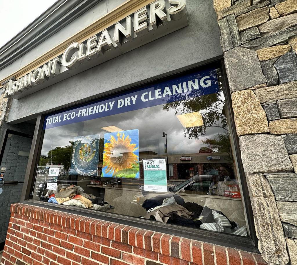 Ashmont Cleaners window with artwork on display sunflower photography.